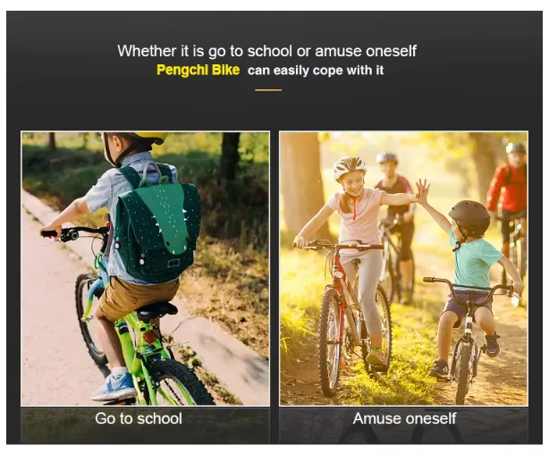 oem bicycle manufacturer