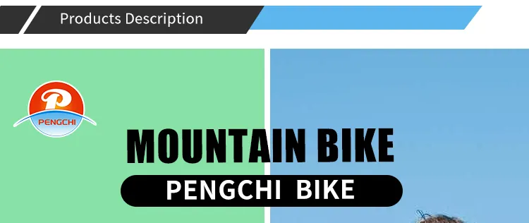 Different Categories of Bicycles and Their Unique Features for Every Rider