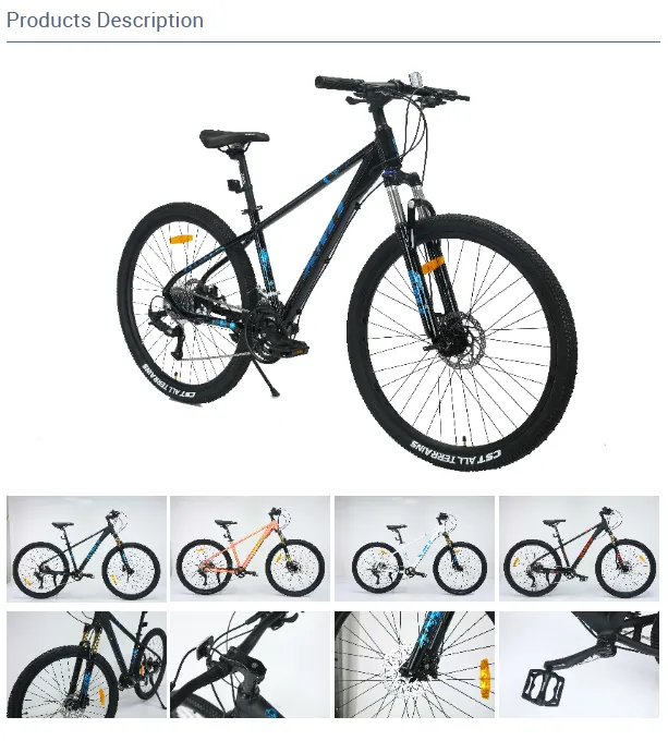 BMX 2020의 새로운 도전과 변화 탐구