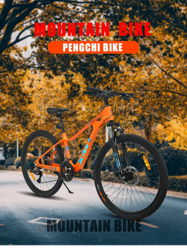 bmx professional bikes