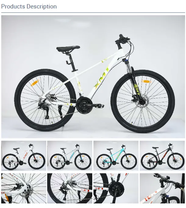 Exploring Urban Adventures with the Black City Bicycle Experience