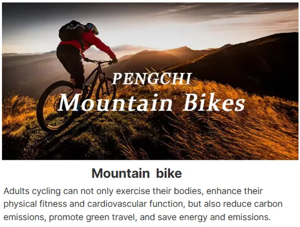 دراجة بي إم إكس سوداء بالكامل للأداء الاحترافي والترفيه الرياضي