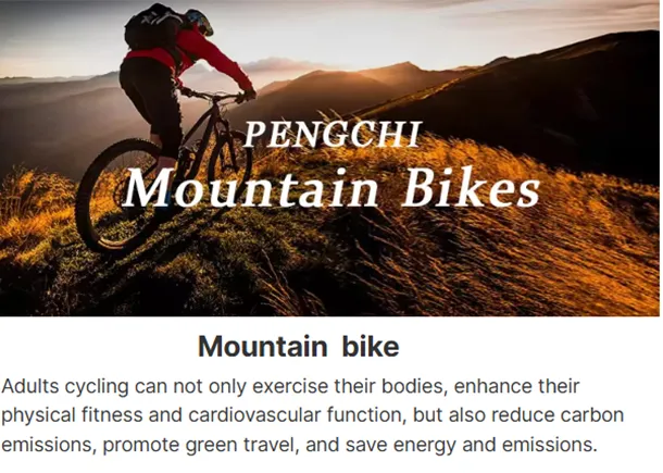 28-inch BMX bike for thrilling rides and ultimate performance on any terrain