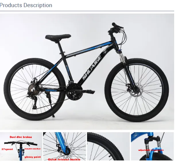 mountain bicycle for sale