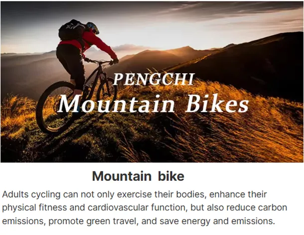 Wholesale Bicycles Available for Purchase at Competitive Prices