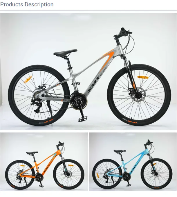 mountain bicycle for sale