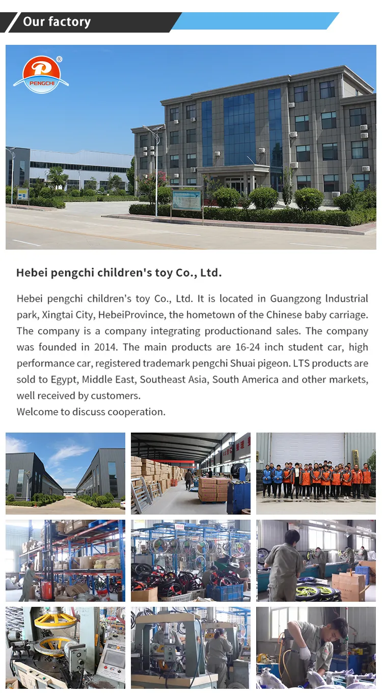 High Performance Wholesale High Sales Electric Bicycles with 16 Inch Wheels and Intelligent Display Screens