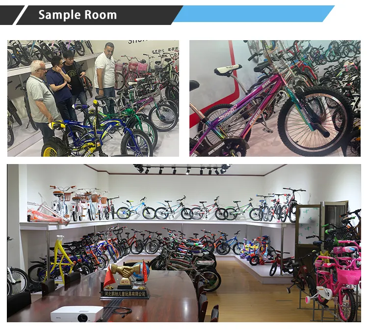 High Performance Wholesale High Sales Electric Bicycles with 16 Inch Wheels and Intelligent Display Screens