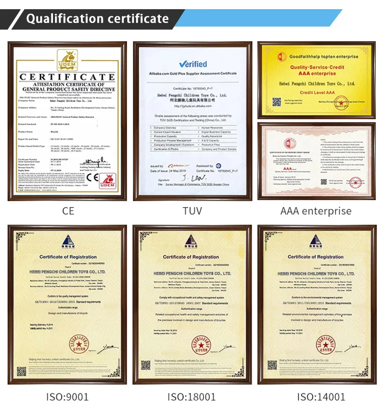 High Performance Wholesale High Sales Electric Bicycles with 16 Inch Wheels and Intelligent Display Screens