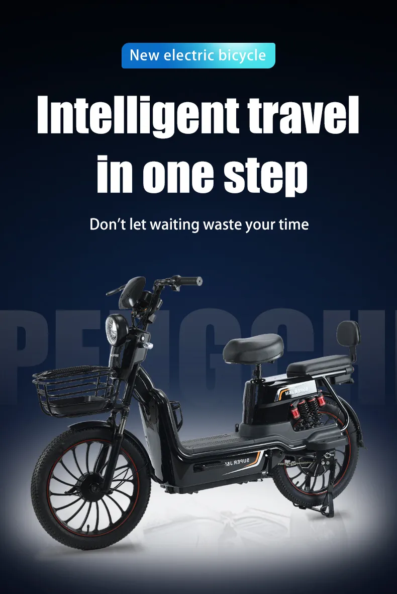 High Performance Wholesale High Sales 500W Brushless Motor and Front and Rear Drum Brake Electric Bicycles