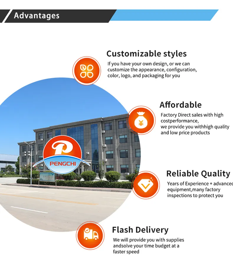 High Performance Wholesale High Sales 500W Brushless Motor and Front and Rear Drum Brake Electric Bicycles