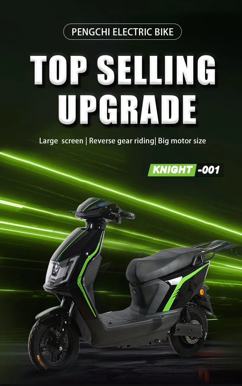 Premium Quality Urban Electric Bicycle 650W 48V 12A Adult Ebike Electric City Bike With Pedals