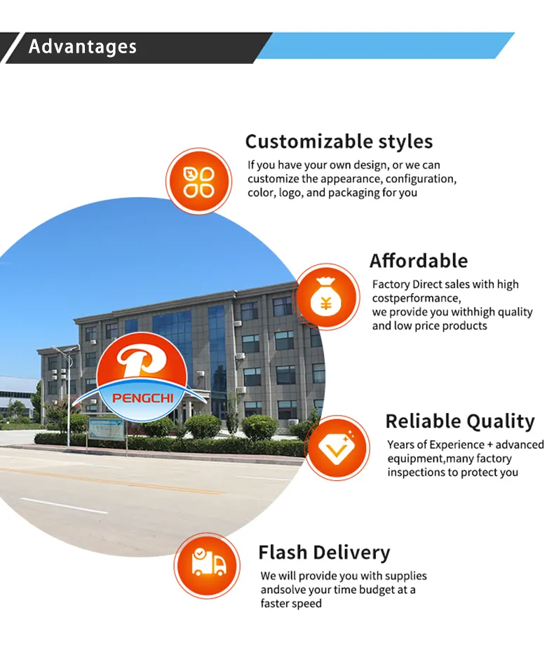 Premium Quality Urban Electric Bicycle 650W 48V 12A Adult Ebike Electric City Bike With Pedals