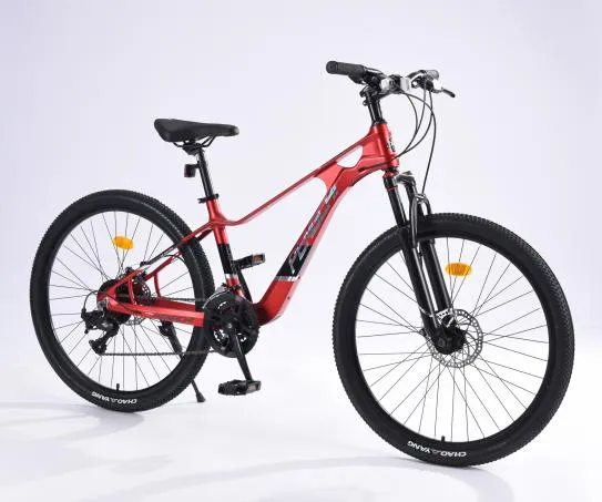 Best Kids Bicycles for Fun and Adventure on Two Wheels Best Kids Bicycles for Fun and Adventure on Two Wheels