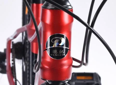 Exploring the Thrills of Mountain Biking at Big White Resort Adventures