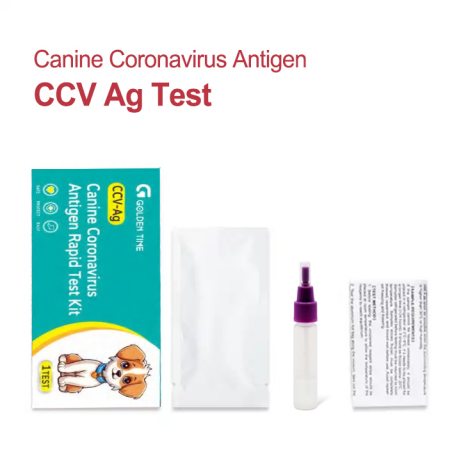 Interpreting Faint Lines on a CCV Test Kit