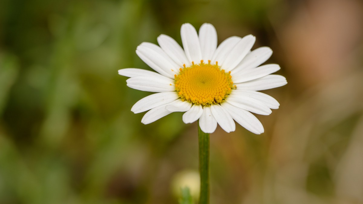 best hiv test kit best hiv test kit