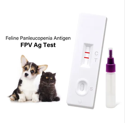 Efficacy of CCV CPV Test Kit in Puppy Diagnosis