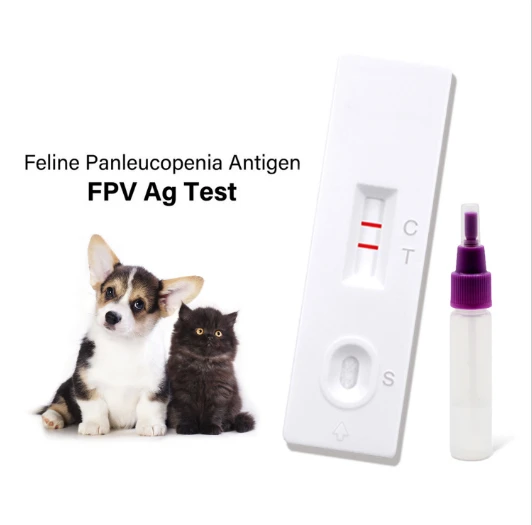 Efficacy of CCV CPV Test Kit in Puppy Diagnosis