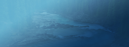 helicobacter testing suppliers