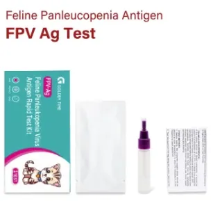 Panleukopenia Test Kit for Feline Diagnostics