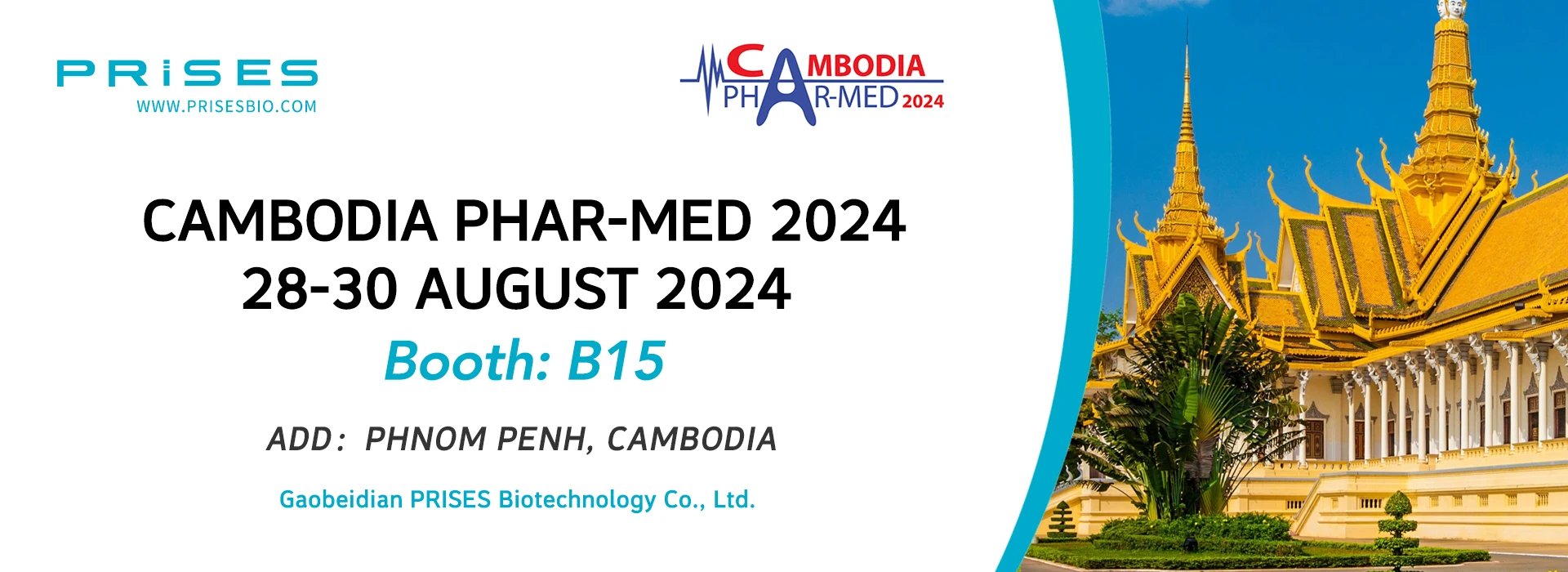 Wholesale Stool Antigen Testing Options for Helicobacter Pylori Detection and Diagnosis