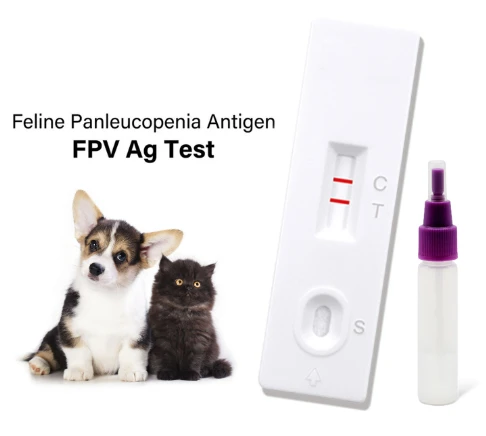 pregnancy test strip price