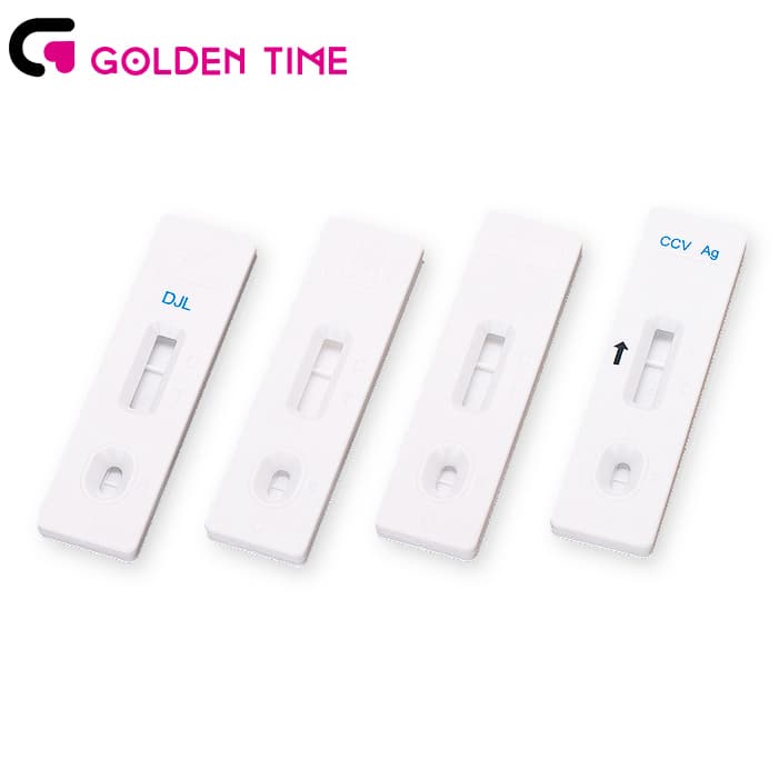 Pathological Analysis Empty Cassette Rapid Test