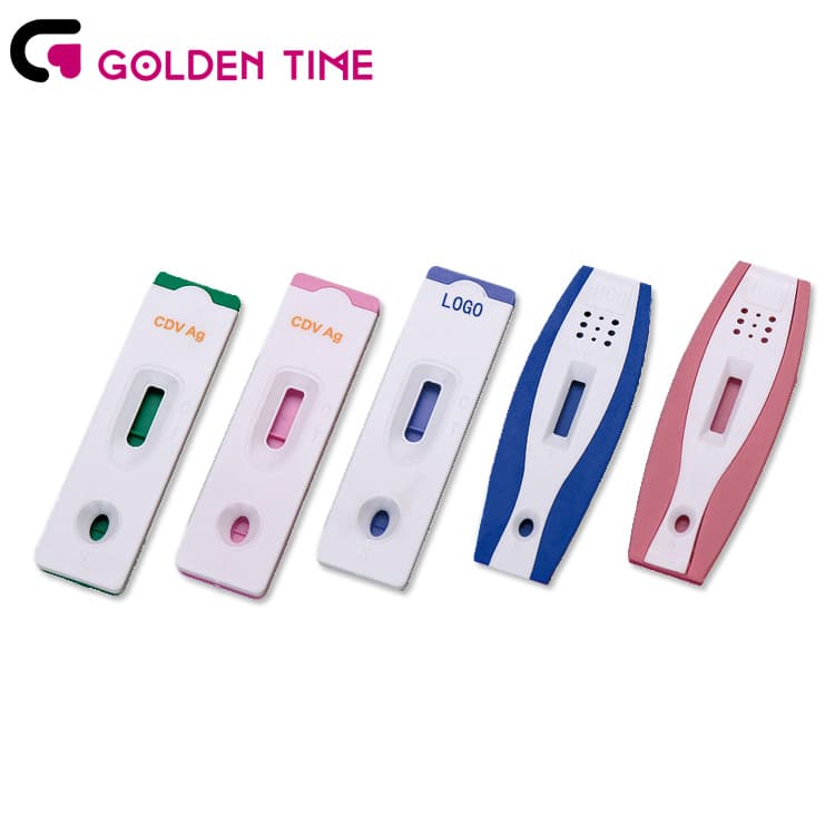 kupić producentów zestawów testowych tyfusu