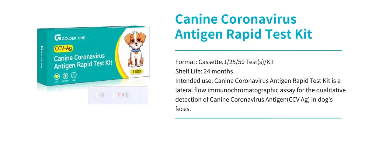 covid-19 (sars-cov-2) antigen diagnostic test kit