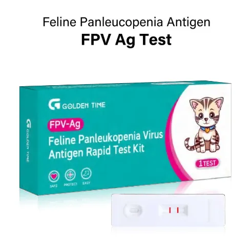 Revolutionizing Pet Care with Pet Test: The Rise of Home Wellness Check-ups for Cats