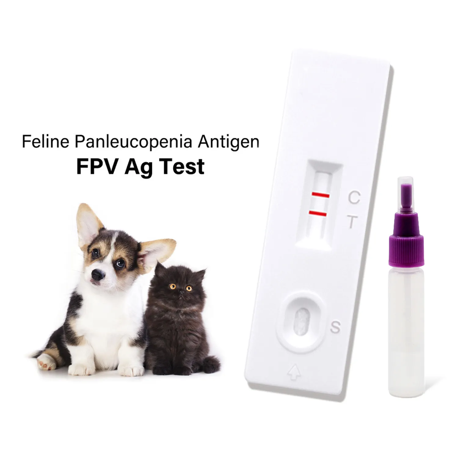 Essential Panleukopenia Test Kits for Cats
