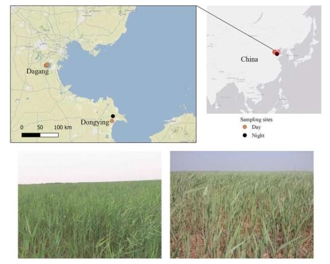 Leading Manufacturers of Hepatitis C Test Kits and Their Innovations