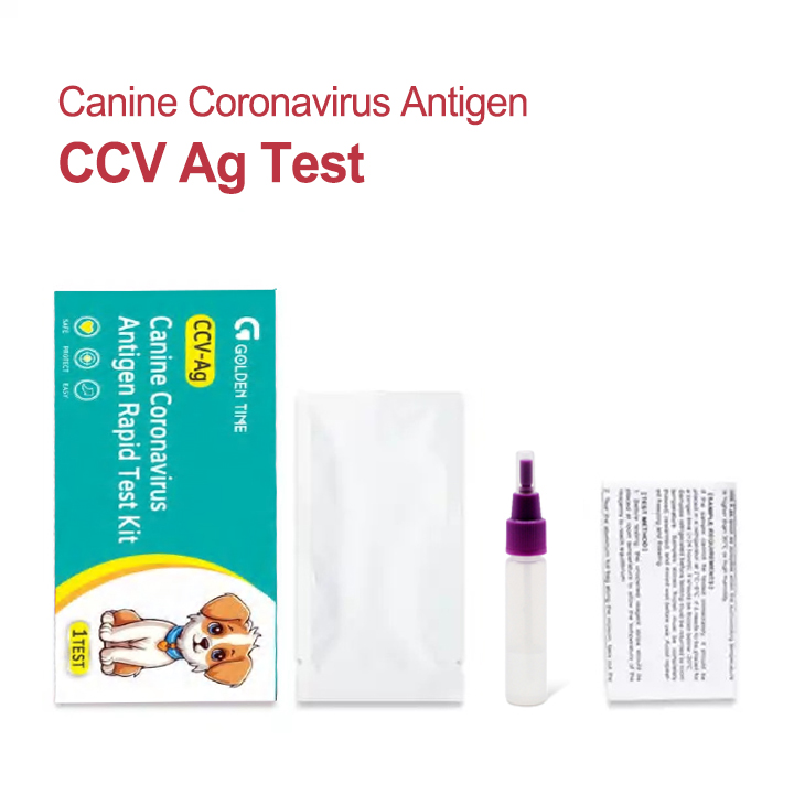 Rapid Canine Corona Test: Fast & Accurate Results