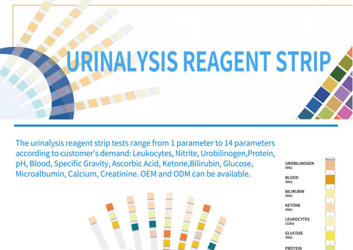 predictor pregnancy test manufacturers