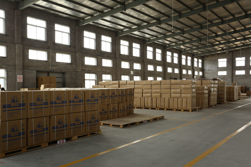 ratchet safety helmet