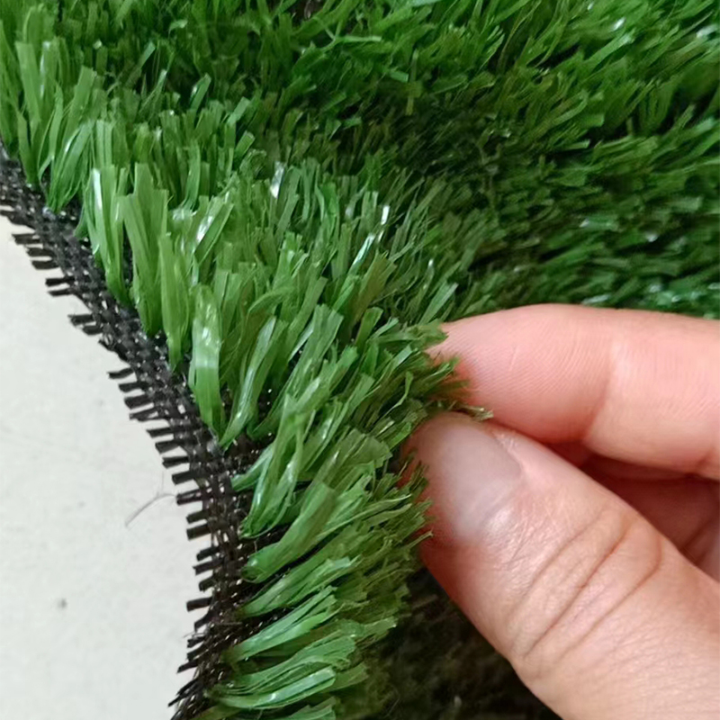 Construction Fence Grass