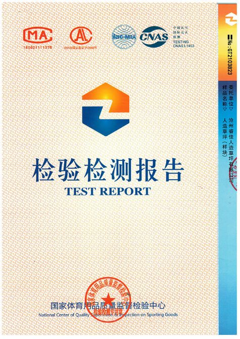 TEST REPORT