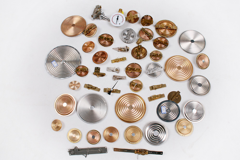 Established Factory concentrated on capsule system