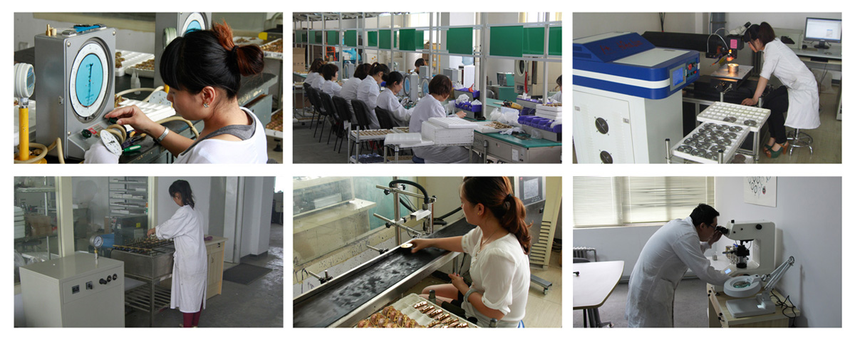 pressure diaphragm  capsule