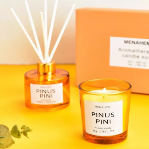 All-Natural Essential Oil Diffuser Set Elegant Roo