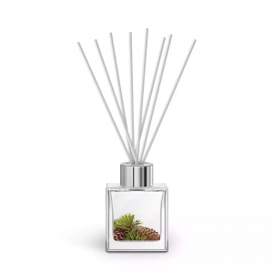 Plant decoration fresh air perfume holiday ornamen