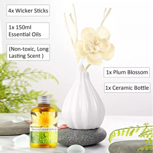 New design immortal flower diffuser stick lasting 