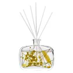 hot sale clear flat glass essential oil reed diffu