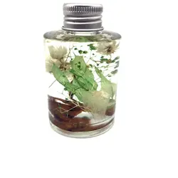 High Quality Fragrance Reed Diffuser With Glass Bo