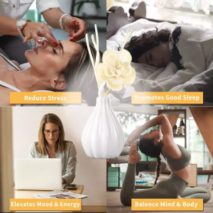 New design immortal flower diffuser stick lasting 