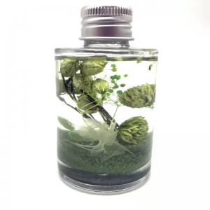 High Quality Fragrance Reed Diffuser With Glass Bo