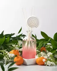 Modern Air Freshener Deodorant Long-lasting Refres