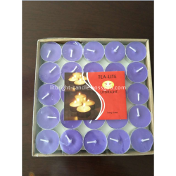Pillar Candle Delight for a Cozy Ambiance at Home