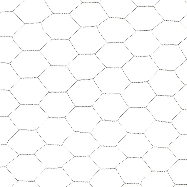 Choose Hexagonal Wire Mesh for Your Next Project